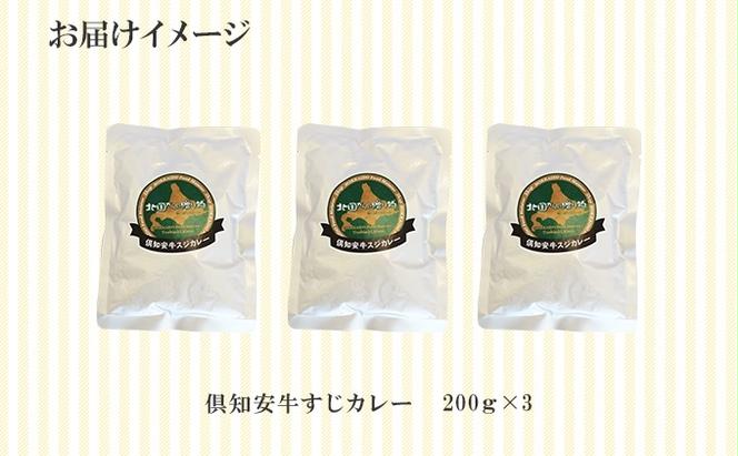 倶知安 牛すじカレー 北海道 計3個 中辛 レトルト食品 加工品 牛すじ 牛肉 野菜 じゃがいも お取り寄せ グルメ スパイシー スパイス おかず【お肉・牛肉】 