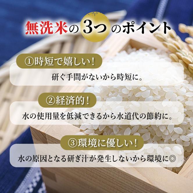 6ヵ月連続お届け　銀山米研究会の無洗米＜ゆめぴりか＞10kg【機内食に採用】