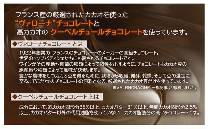 北海道・新ひだか町のクリスマスケーキ『プレミアムショコラ』ちょっとリッチなチョコレートケーキ【お届け予定：12/20～12/24】冷凍発送