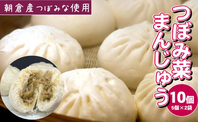 つぼみ菜まんじゅう 10個（80g×5個入×2袋）冷凍 肉まん 豚まん 惣菜 蕾菜 野菜 電子レンジ ※配送不可：離島