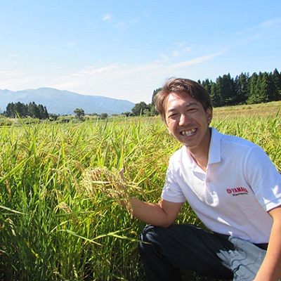 秋田県産 あきたこまち 玄米 12kg（2kg×6袋）神宿る里の米「ひの米」（お米 小分け）