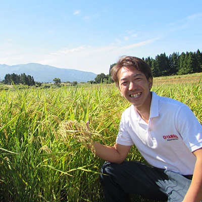 新米 米 お米 《定期便》12kg×6ヶ月 秋田県産 あきたこまち 玄米 2kg×6袋 神宿る里の米「ひの米」（お米 小分け）