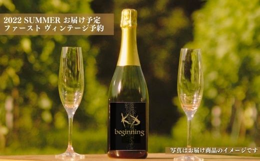 【北海道産ワイン】 限定スパークリングワイン KP”Beginning" 750ml×2本 仁木町産ナイアガラ100%使用 ワイン 白 辛口 スパークリング