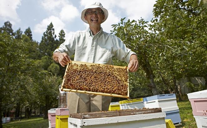 国産 生産直送 春日養蜂場のはちみつ1kg2本セット（武将シリーズ徳川・石田）