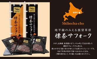 北海道産 標茶サフォーク 業務用 生ラム 切り落とし 1kg（250g×4）