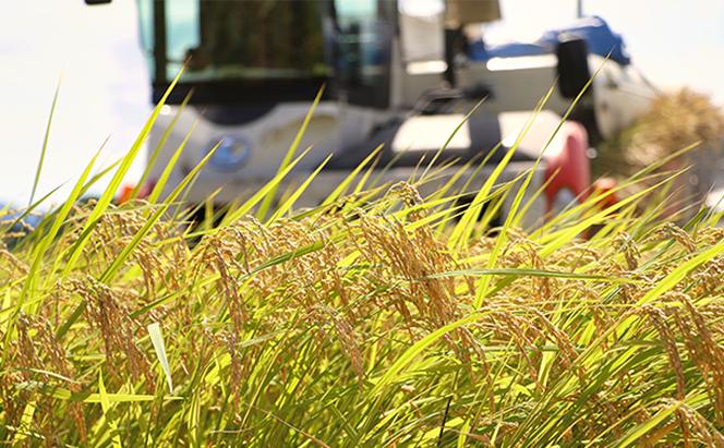 お米 コシヒカリ さつきの舞 吟選 10kg（5kg×2） 清らか 水 優良 農地 厳選 化学肥料 農薬 安全 安心 自然環境 玄米低温保管 品質 鮮度 美味しさ 