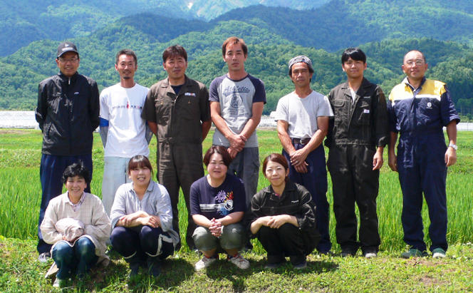 【令和6年度産】◆6ヵ月定期便◆ 富良野 山部米研究会【 ななつぼし 】精米 5kg×3袋（15kg）お米 米 ご飯 ごはん 白米 定期 送料無料 北海道 富良野市 道産 直送 ふらの