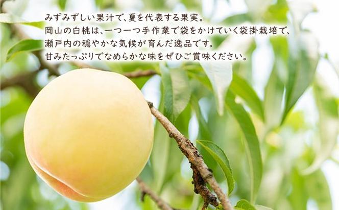 桃 2024年 先行予約 白皇（白桃）約2kg（6～7玉） もも モモ 岡山県産 国産 フルーツ 果物 ギフト やまか難波農園