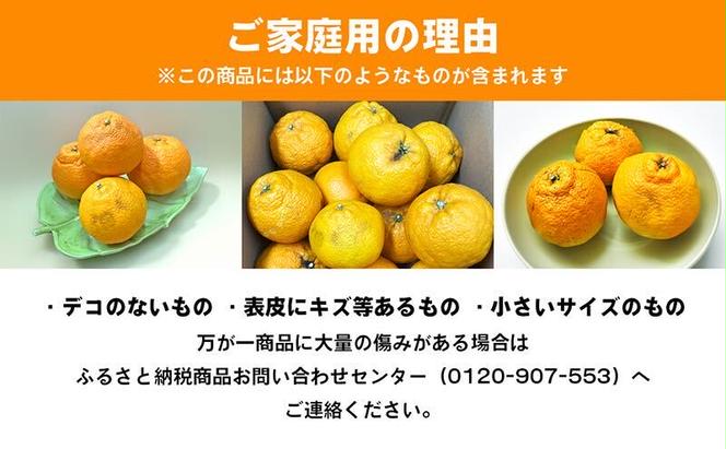 ご家庭用しらぬひ 約３kg デコポン