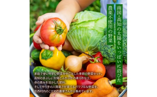 t138slv　野菜セット（11‐13種類）《3カ月定期便》 栽培期間中農薬不使用！ 季節の野菜 定期コース 定期 無農薬 野菜 やさい 新鮮 自然 健康 セット 詰め合わせ 冷蔵 美味しい おいしい 食べ物 食材 秋 旬の味覚 ご当地 お取り寄せ 芸西村 30000円 故郷納税 返礼品