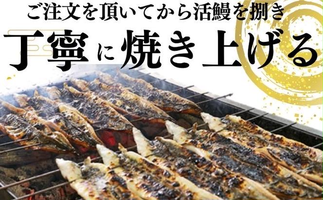 新仔うなぎ 白焼き 2尾 150g以上 かね梅 鰻 ウナギ うなぎ 蒲焼 丑の日 国産 三河一色産 炭火焼き 手焼き 簡単調理 小分け 真空パック うな重 うな丼 ひつまぶし 長焼 人気 グルメ ギフト 贈答 贈り物 株式会社かね梅 送料無料 愛知県 【 蟹江町 】