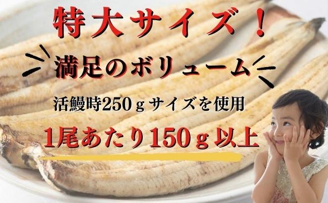 新仔うなぎ 白焼き 2尾 150g以上 かね梅 鰻 ウナギ うなぎ 蒲焼 丑の日 国産 三河一色産 炭火焼き 手焼き 簡単調理 小分け 真空パック うな重 うな丼 ひつまぶし 長焼 人気 グルメ ギフト 贈答 贈り物 株式会社かね梅 送料無料 愛知県 【 蟹江町 】