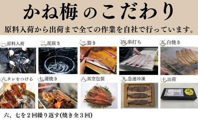 新仔うなぎ 蒲焼き 3尾 150g以上 かね梅 鰻 ウナギ 蒲焼 たれ タレ 丑の日 国産 三河一色産 炭火焼き 手焼き 簡単調理 小分け 真空パック うな重 うな丼 ひつまぶし グルメ 人気 ギフト 贈り物 贈答 株式会社かね梅 送料無料 愛知県【 蟹江町 】