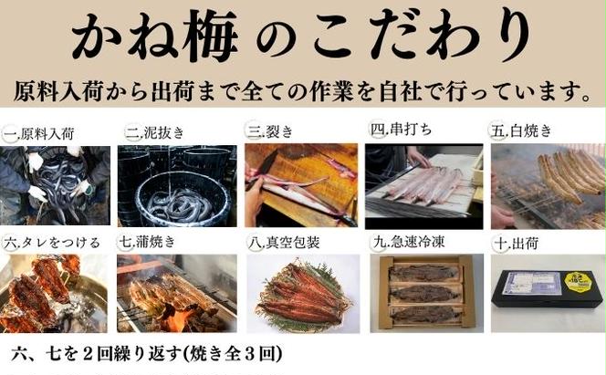 新仔うなぎ まぶし 5食分 計350g 70g×5パック かね梅 鰻 ウナギ 蒲焼 たれ タレ 丑の日 国産 三河一色産 炭火焼き 手焼き 簡単調理 小分け 真空パック うな重 うな丼 ひつまぶし グルメ 人気 ギフト 贈答 株式会社かね梅 送料無料 愛知県 【 蟹江町 】