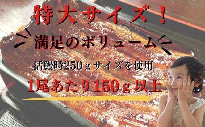 新仔うなぎ 蒲焼き 3尾 150g以上 かね梅 鰻 ウナギ 蒲焼 たれ タレ 丑の日 国産 三河一色産 炭火焼き 手焼き 簡単調理 小分け 真空パック うな重 うな丼 ひつまぶし グルメ 人気 ギフト 贈り物 贈答 株式会社かね梅 送料無料 愛知県【 蟹江町 】