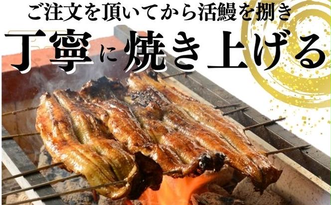 新仔うなぎ 詰め合わせ セット かね梅 鰻 ウナギ 蒲焼 蒲焼き 国産 三河一色産 手焼き 炭火焼き タレ たれ 丑の日 簡単調理 小分け 真空パック うな重 うな丼 ひつまぶし うなぎ長焼 ギフト 人気 贈答 株式会社かね梅 送料無料 愛知県【 蟹江町 】