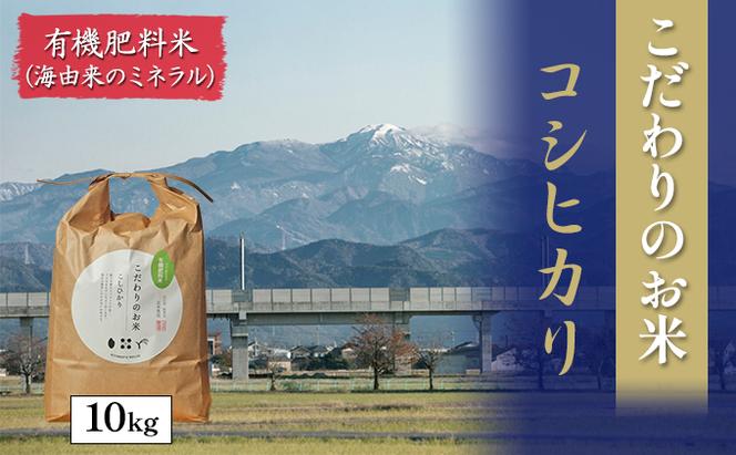 北本農場こだわりのお米令和5年度産コシヒカリ精米10kg有機肥料(海由来のミネラル)で育てたお米