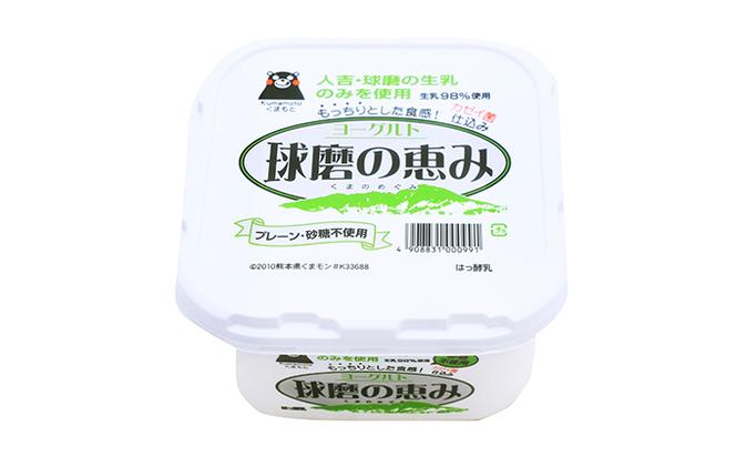 ヨーグルト 無糖 プレーン 球磨の恵ヨーグルト 1kg×2パック 砂糖不使用 乳製品 配送不可:沖縄、離島