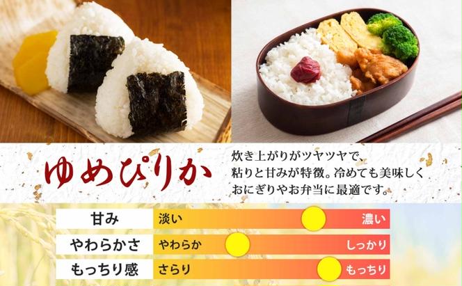 北海道 定期便 12ヵ月連続12回 令和6年産 ゆめぴりか 5kg×2袋 特A 精米 米 白米 ご飯 お米 ごはん 国産 ブランド米 肉料理 ギフト 常温 お取り寄せ 産地直送 送料無料 