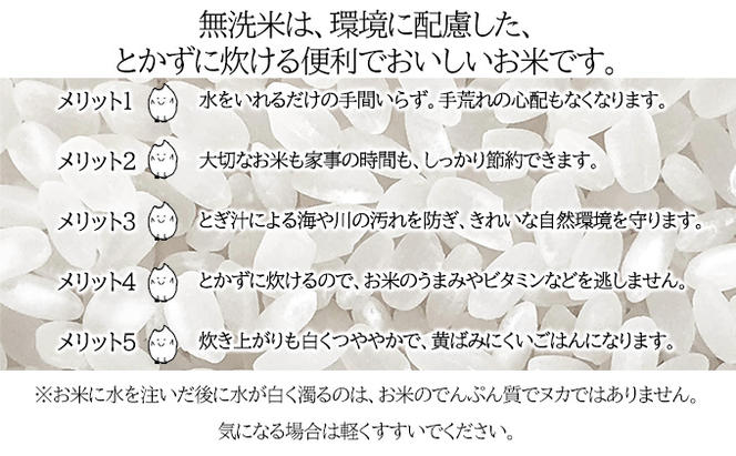 北海道 令和5年産 ななつぼし 無洗米 4.5kg×2袋 計9kg 特A 米 白米 ご飯 お米 ごはん 国産 ブランド米 時短 便利 常温 お取り寄せ 産地直送 農家直送 送料無料 