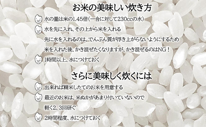 北海道 定期便 6ヵ月連続6回 令和6年産 ゆめぴりか 5kg×1袋 特A 精米 米 白米 ご飯 お米 ごはん 国産 ブランド米 肉料理 ギフト 常温 お取り寄せ 産地直送 送料無料 