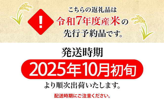 【令和7年産先行予約】北海道 令和7年産 ななつぼし 5kg×3袋 計15kg 特A 精米 米 白米 ご飯 お米 ごはん 国産 ブランド米 おにぎり ふっくら 常温 お取り寄せ 産地直送 送料無料 