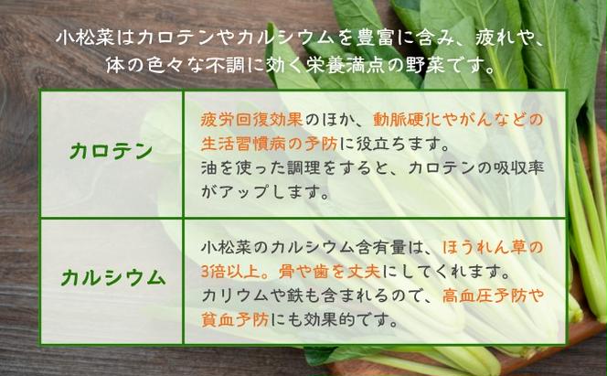 小松菜カレー 4個