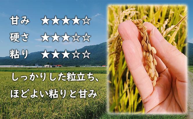 【令和5年度新米】北海道 富良野産 ななつぼし 減農薬 10kg 新米 米 (山本農園) お米 ご飯 ごはん 白米 定期 送料無料 北海道 富良野市 道産 直送 ふらの