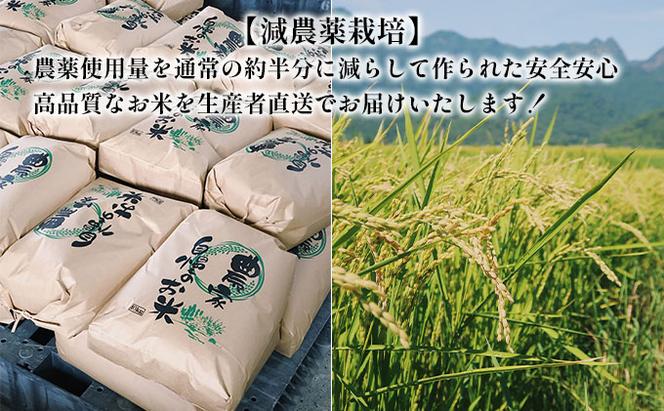 【令和5年度新米】北海道 富良野産 ななつぼし 減農薬 10kg 新米 米 (山本農園) お米 ご飯 ごはん 白米 定期 送料無料 北海道 富良野市 道産 直送 ふらの