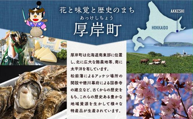 ≪数量限定≫ おせち 北海道 2025年 新春 特製おせち一段重 北のおせち 「汐風の奏」 3～4人前 【離島配送不可】