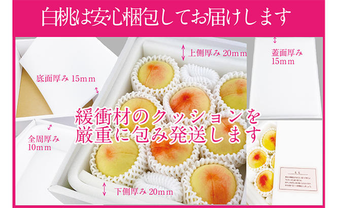 桃 2025年 先行予約 岡山の白桃 200g以上×8玉 白桃 旬 みずみずしい 晴れの国 おかやま 岡山県産 フルーツ王国 果物王国
