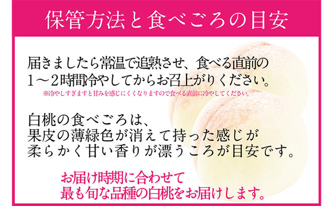 桃 2025年 先行予約 岡山の白桃 200g以上×8玉 白桃 旬 みずみずしい 晴れの国 おかやま 岡山県産 フルーツ王国 果物王国