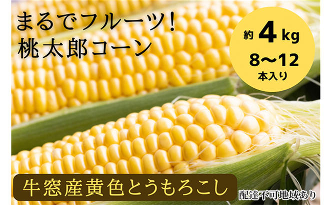 ［2025年先行予約］ まるでフルーツ！最高糖度25度超え 生で甘い、茹でて美味い！牛窓産 黄色 とうもろこし 「桃太郎コーン」約4kg（8～12本入り）