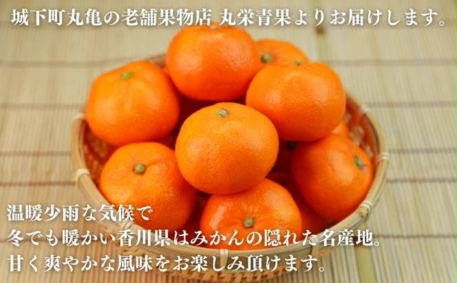 みかん のどかな讃岐路で育った 温州みかん 約 10kg フルーツ 果物 柑橘 柑橘類 デザート おやつ 旬 産地直送 冬の味覚 旬の果物 旬のフルーツ お取り寄せ 取り寄せ 送料無料 香川 11月中旬以降発送開始