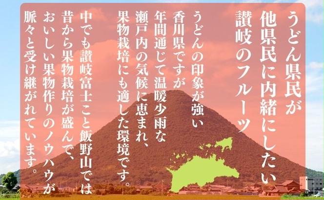 みかん のどかな讃岐路で育った 温州みかん 約 10kg フルーツ 果物 柑橘 柑橘類 デザート おやつ 旬 産地直送 冬の味覚 旬の果物 旬のフルーツ お取り寄せ 取り寄せ 送料無料 香川 11月中旬以降発送開始