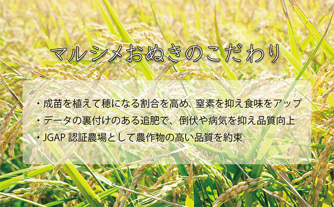 ◆ R6年産 定期便 6ヵ月 ◆JGAP認証【おぬきさん家のゆめぴりか】5kg≪北海道伊達産≫