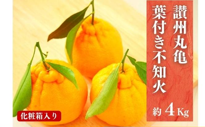 【4月発送】 デコポン 不知火 約4kg 化粧箱 柑橘 みかん 蜜柑 オレンジ くだもの 果物 フルーツ ジュース ゼリー スイーツ 贈答用 ギフト おすすめ 高級 期間限定 先行予約 グルメ 香川県 丸亀市