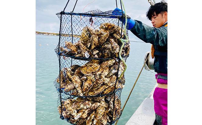 【国内消費拡大求む】 北海道 湧別町 サロマ湖産　殻付き2年 牡蠣 3.9kg（約42個入） カキ