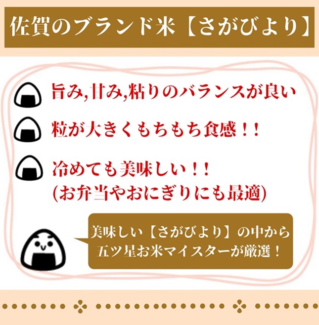 CI402_【５回定期便】無洗米さがびより１０kg（５ｋｇ×２袋）