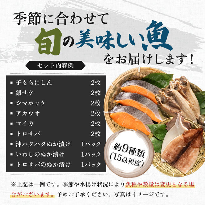 《定期便》2ヶ月ごとに6回 干物セット 15品程度(9種類程度)「秋田のうまいものセットC」(隔月)