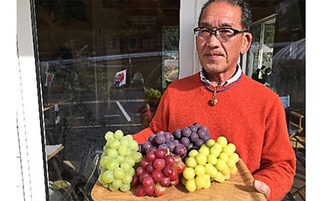 越冬 ぶどうシャイン マスカット 2房 合計1.6kg（1房 約800g）岡山県産 四代目 五果苑