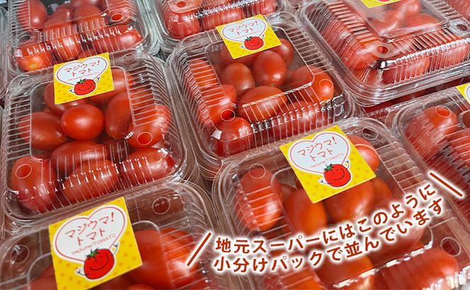 ◆2024年8月より順次出荷◆北海道 伊達 岡本園芸 ミニトマト 高糖度 約4kg【マジウマ！トマト】　