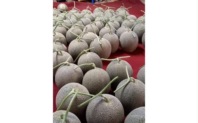 メロン 肥後グリーン 2玉 (約2kg×2) 2024年発送 果物 フルーツ デザート