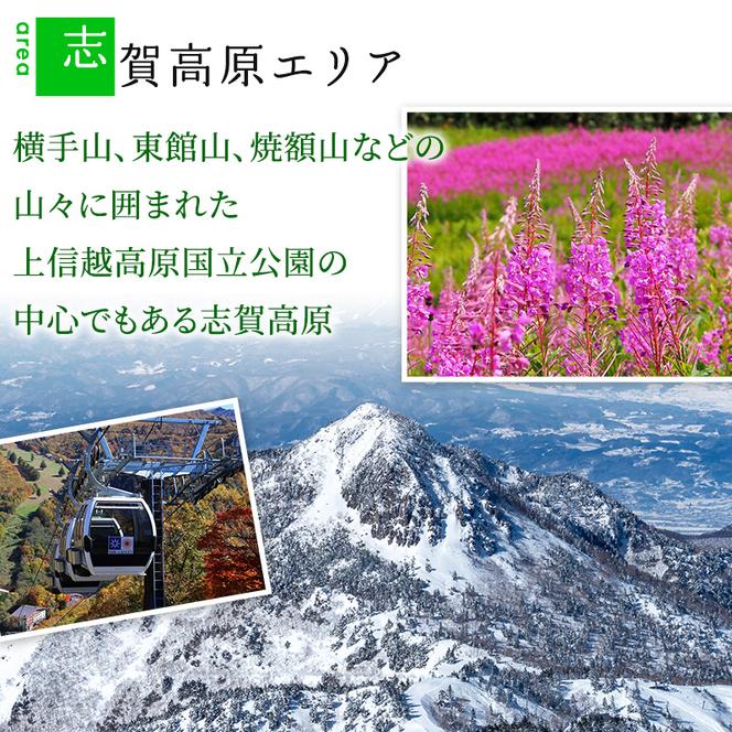 山ノ内町内宿泊補助券（2枚）1年間有効 10,000円分 旅行 宿泊券 ホテル 旅館 チケット 宿泊 補助券 志賀高原 湯田中渋温泉郷 北志賀高原 地獄谷野猿公苑  温泉 ギフト 自然 観光 長野県 信州 冬 スキー