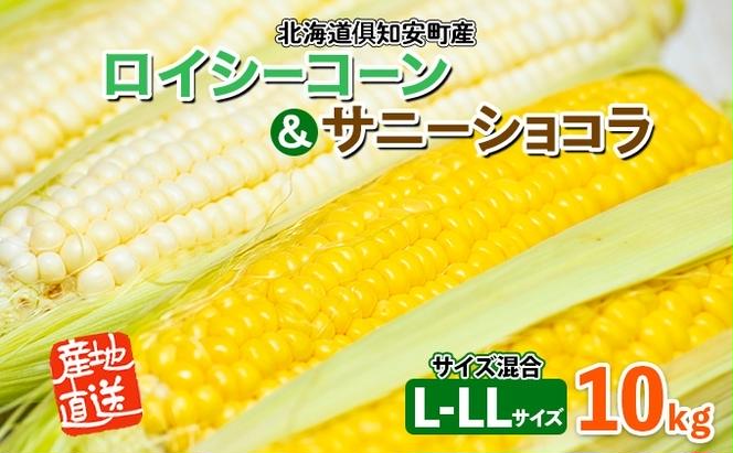 北海道産 とうもろこし ロイシーコーン サニーショコラ 計18～20本 10kg前後 L-LLサイズ 旬 スイート コーントウモロコシ とうきび 新鮮 農作物 野菜 産地直送