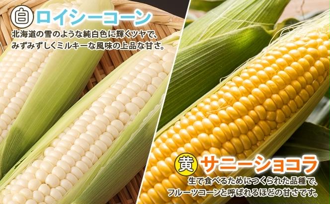 北海道産 とうもろこし ロイシーコーン サニーショコラ 計18～20本 10kg前後 L-LLサイズ 旬 スイート コーントウモロコシ とうきび 新鮮 農作物 野菜 産地直送