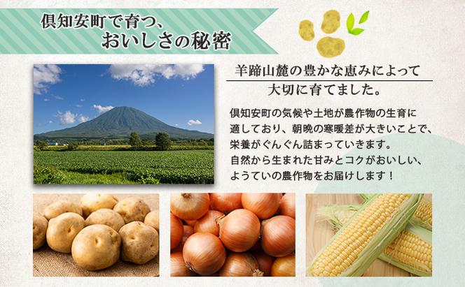 北海道産 とうもろこし ロイシーコーン 計18～20本 10kg前後 L-LL 旬 白い スイート コーン トウモロコシ お取り寄せ 産地直送 野菜 とうきび 送料無料 北海道 倶知安町