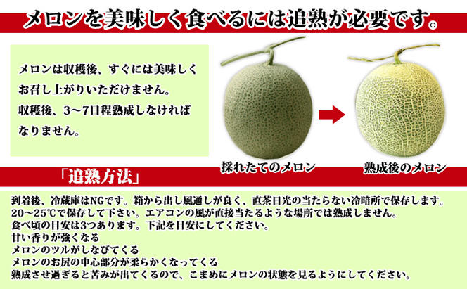 【2025年7月中旬～発送】※訳あり※ 富良野 メロン 約8kg 〈3玉～8玉入り〉北海道 富良野市 (スイートベジタブルファクトリー) メロン フルーツ 果物 新鮮 甘い 贈り物 ギフト 道産 ジューシー おやつ ふらの ブランド 夏 