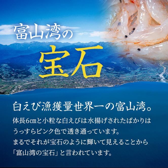 富山湾の宝石しろえび刺身 100g×5個セット（計500g）