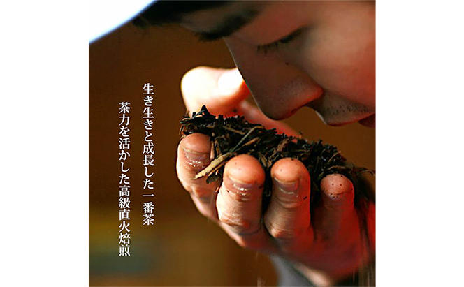 【完全有機栽培】2種類の粉末茶スティック25本セット（有機JAS）[345497]